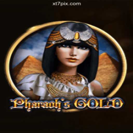 PharaohsGold: Exploring the XT7.COM Platform-Oficial Slots Brasil #1